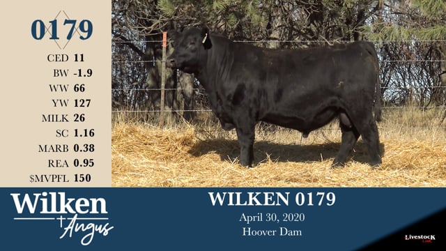 Lot #179 - WILKEN 0179