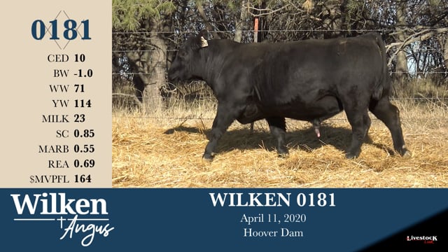Lot #181 - WILKEN 0181