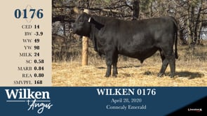 Lot #176 - WILKEN 0176