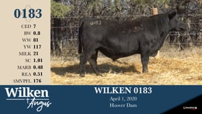 Lot #183 - WILKEN 0183