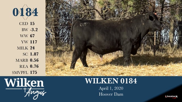 Lot #184 - WILKEN 0184