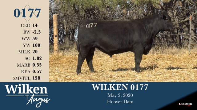 Lot #177 - WILKEN 0177