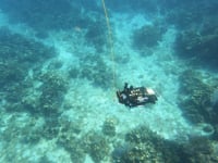 Newswise:Video Embedded development-of-a-curious-robot-to-study-coral-reef-ecosystems-awarded-1-5-million-by-the-national-science-foundation