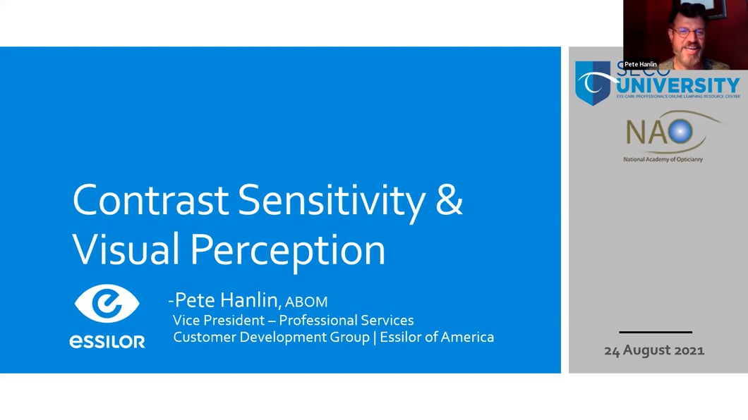 Contrast Sensitivity and Visual Perception