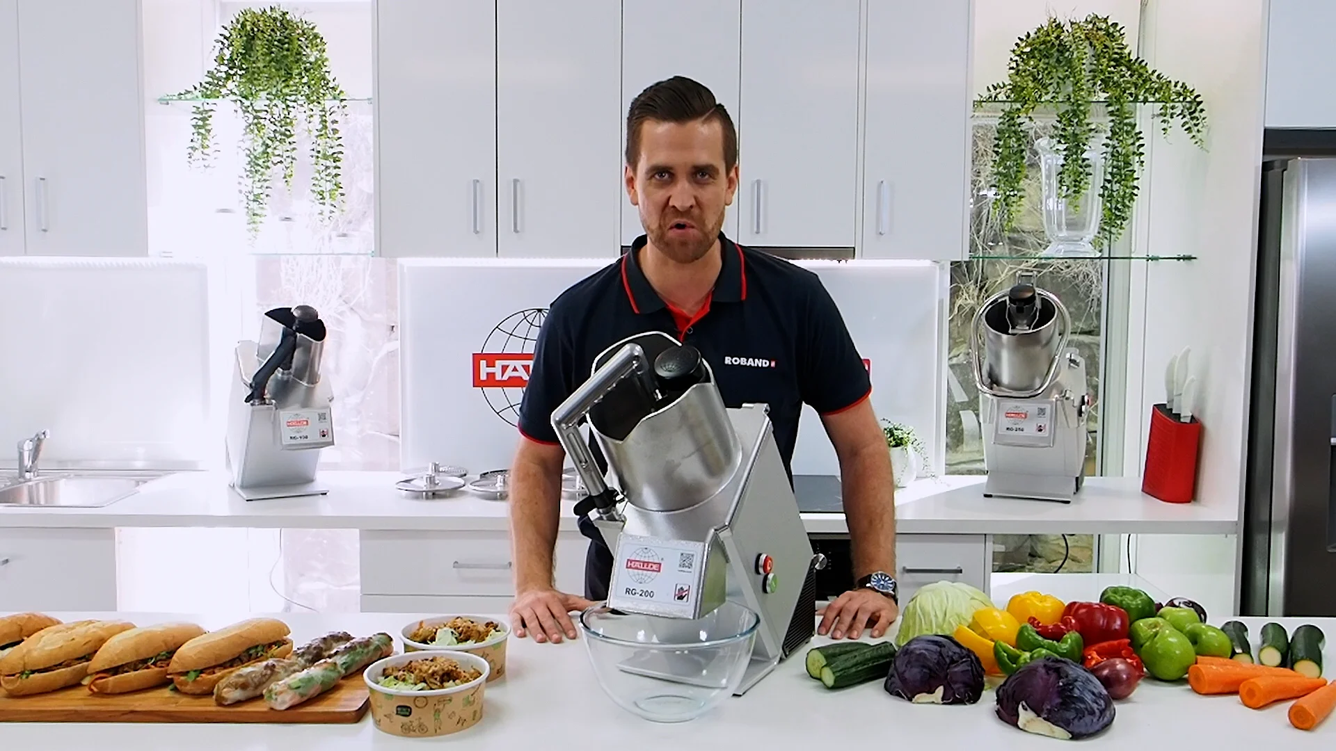 Hallde RG-200 Vegetable Preparation Machine - with 4 FREE Hallde RG-200 Vegetable Preparation Machine - with 4 FREE
