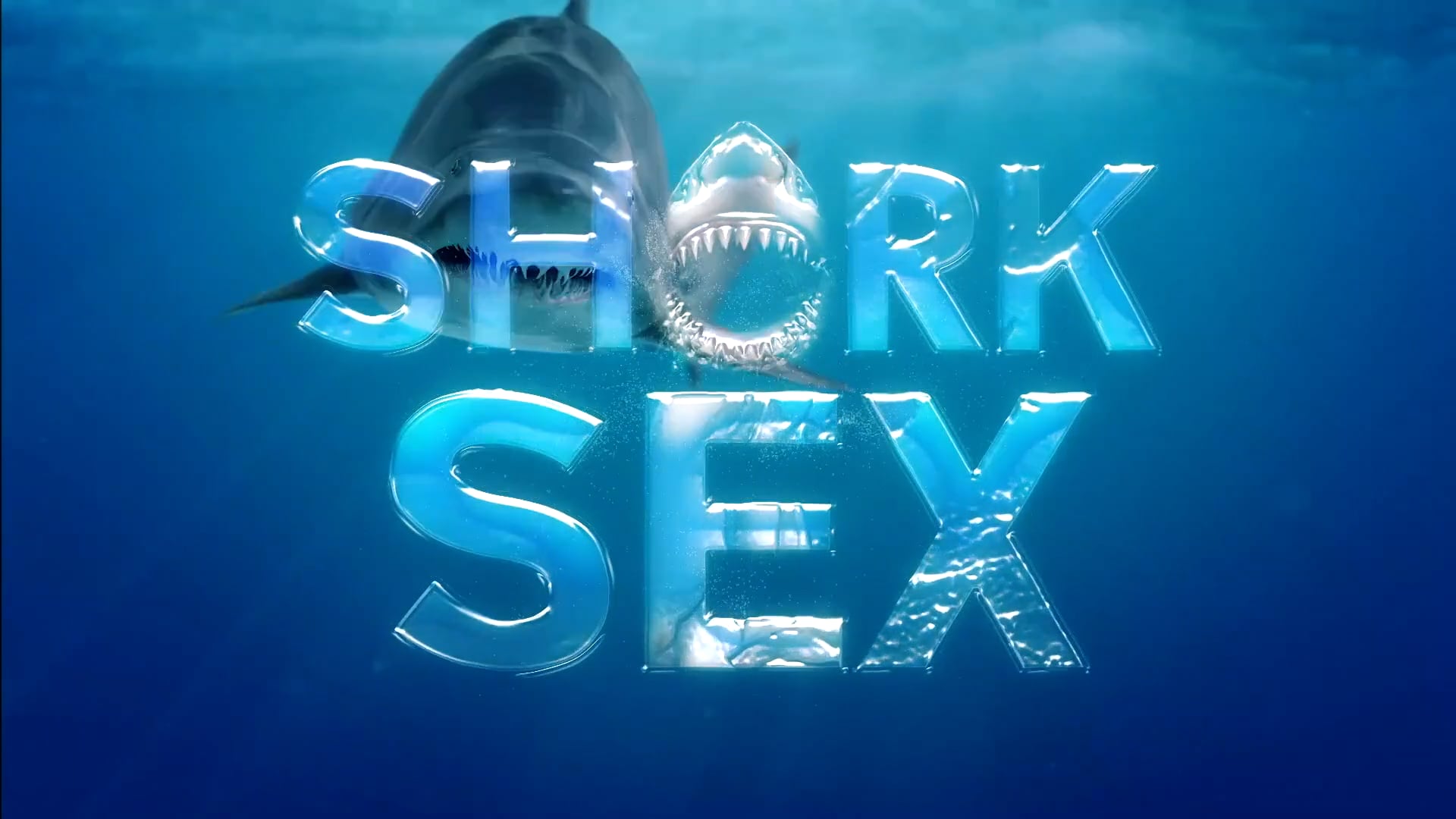 SharkSex - Sizzle