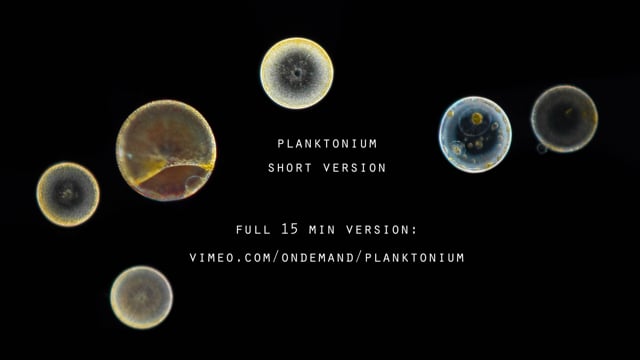 Planktonium - SHORT VERSION