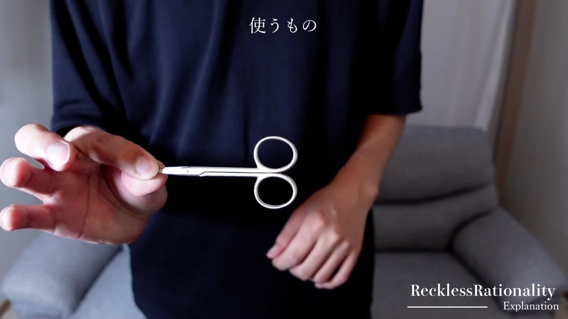 【R】Reckless Rationality[解説]