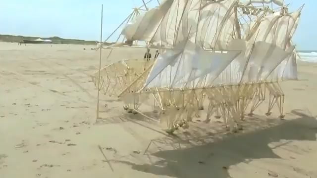 Le sculpteur du vent
