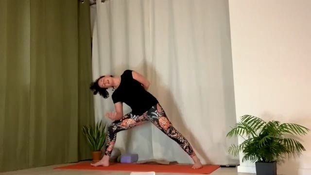 Forrest Yoga // Connect to Breath: Standing Pose Series // 60 min