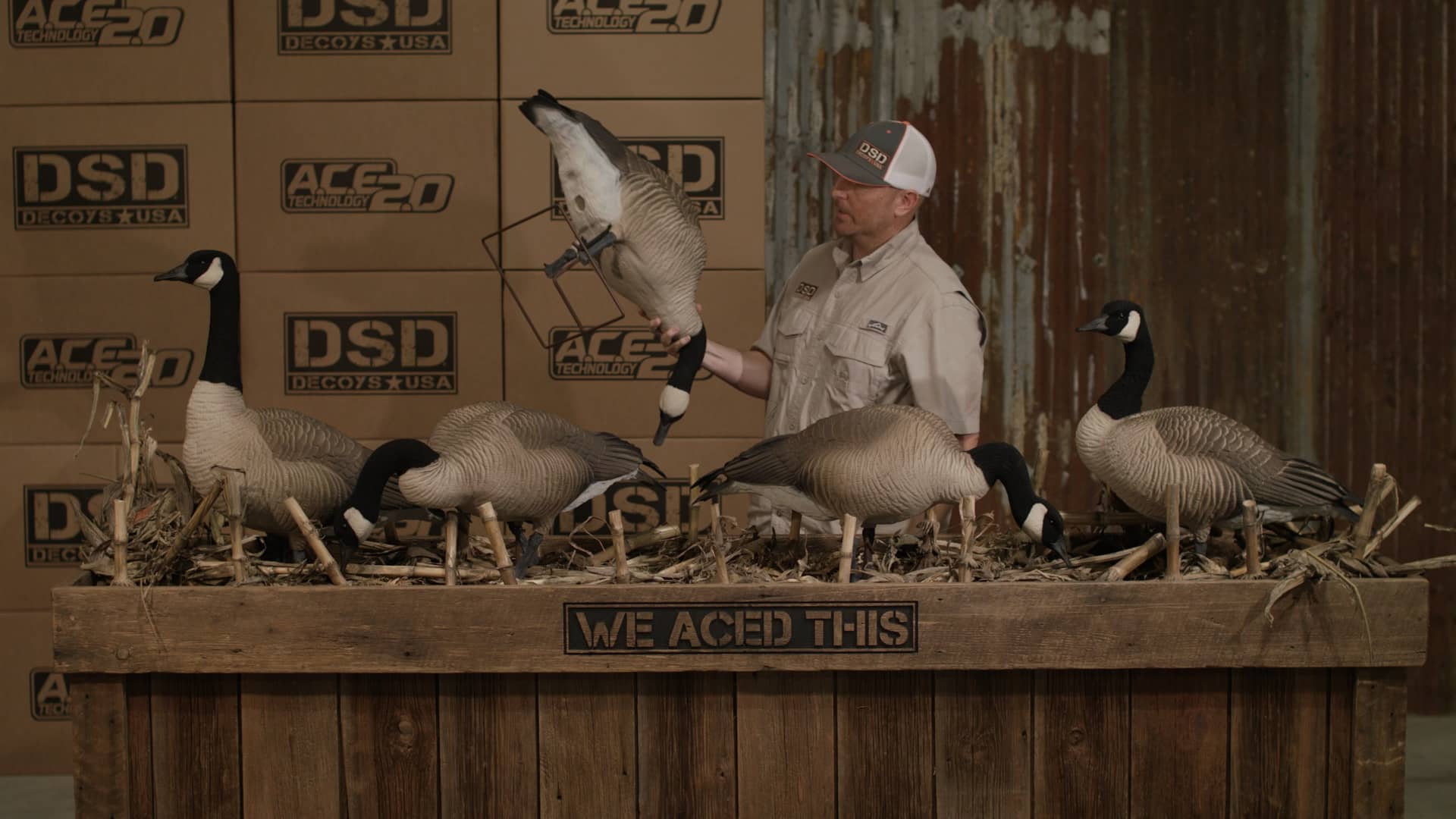 DSD Product Video Honkers on Vimeo