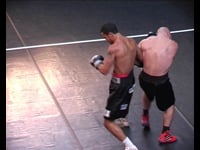 Y se hicimos son nosotros a y se nosotros fuimos. Gabriel Hernández, 2009