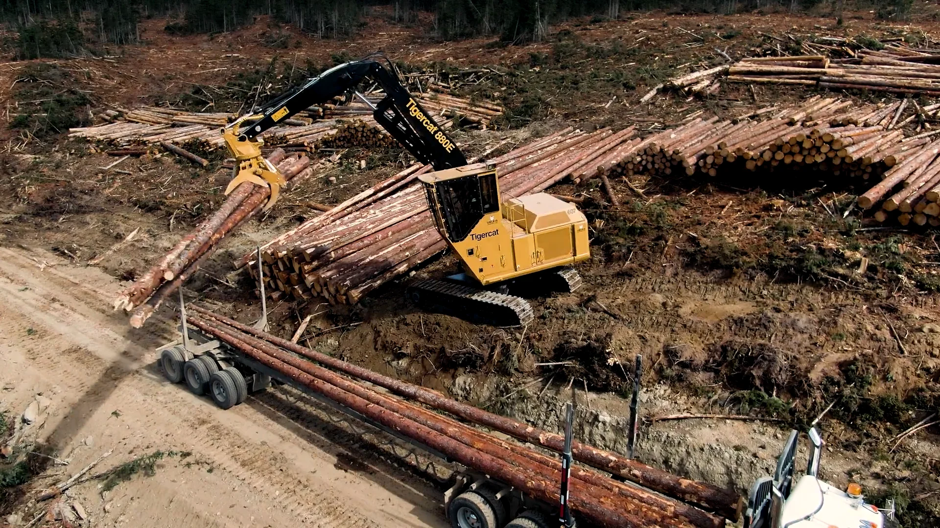 880E Logger - Wajax - Tigercat