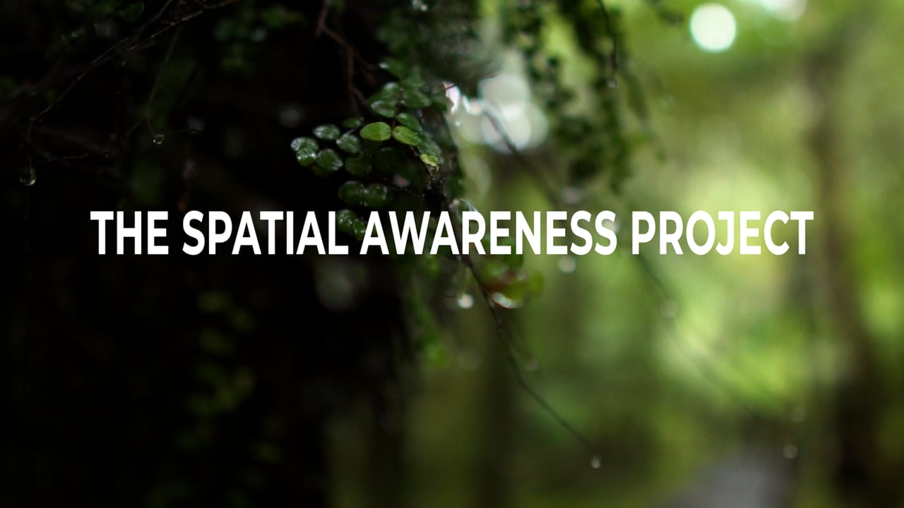 The Spatial Awareness Project, a video by Cadey Korson