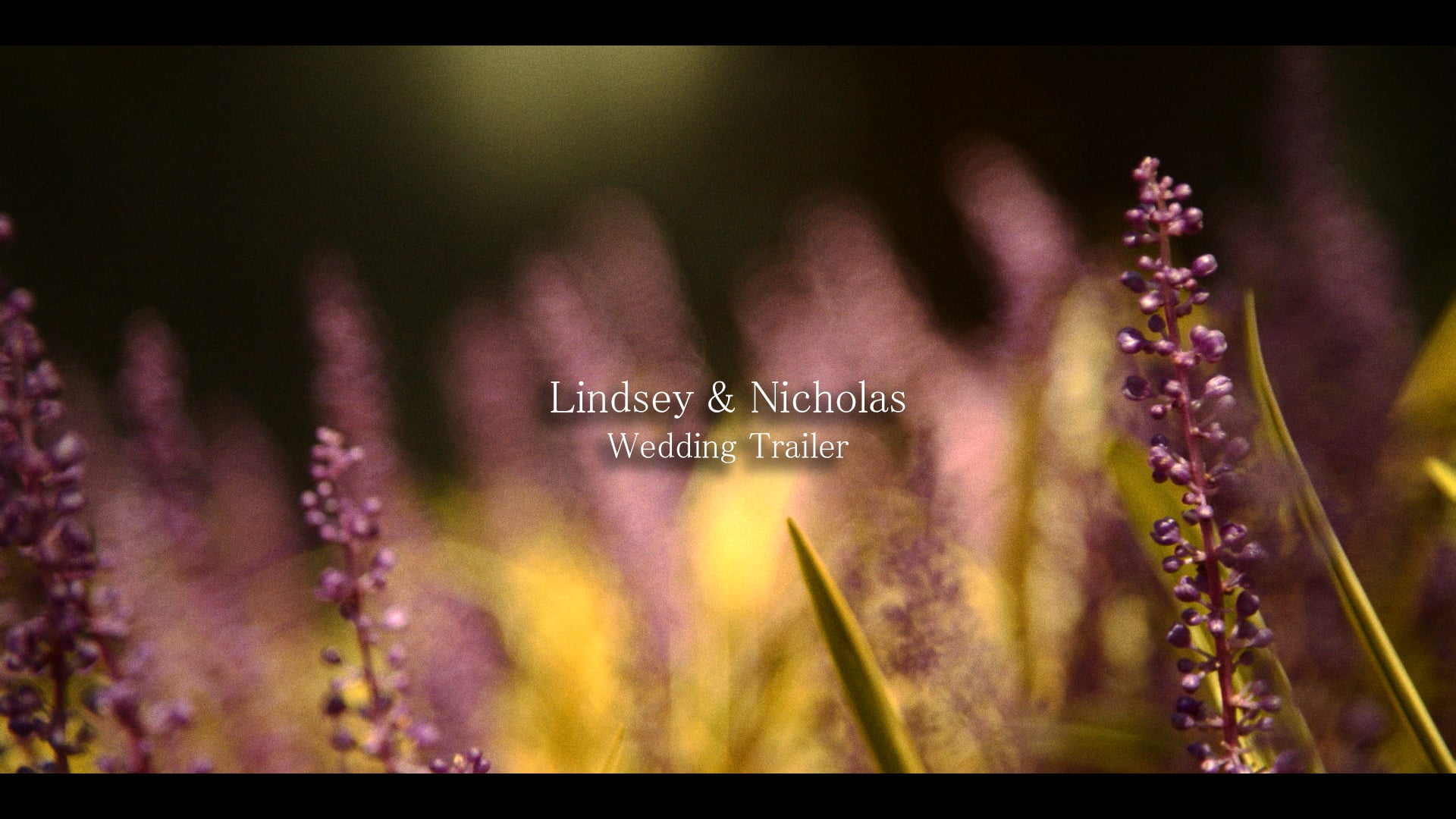 Lindsey & Nicholas's Wedding Trailer