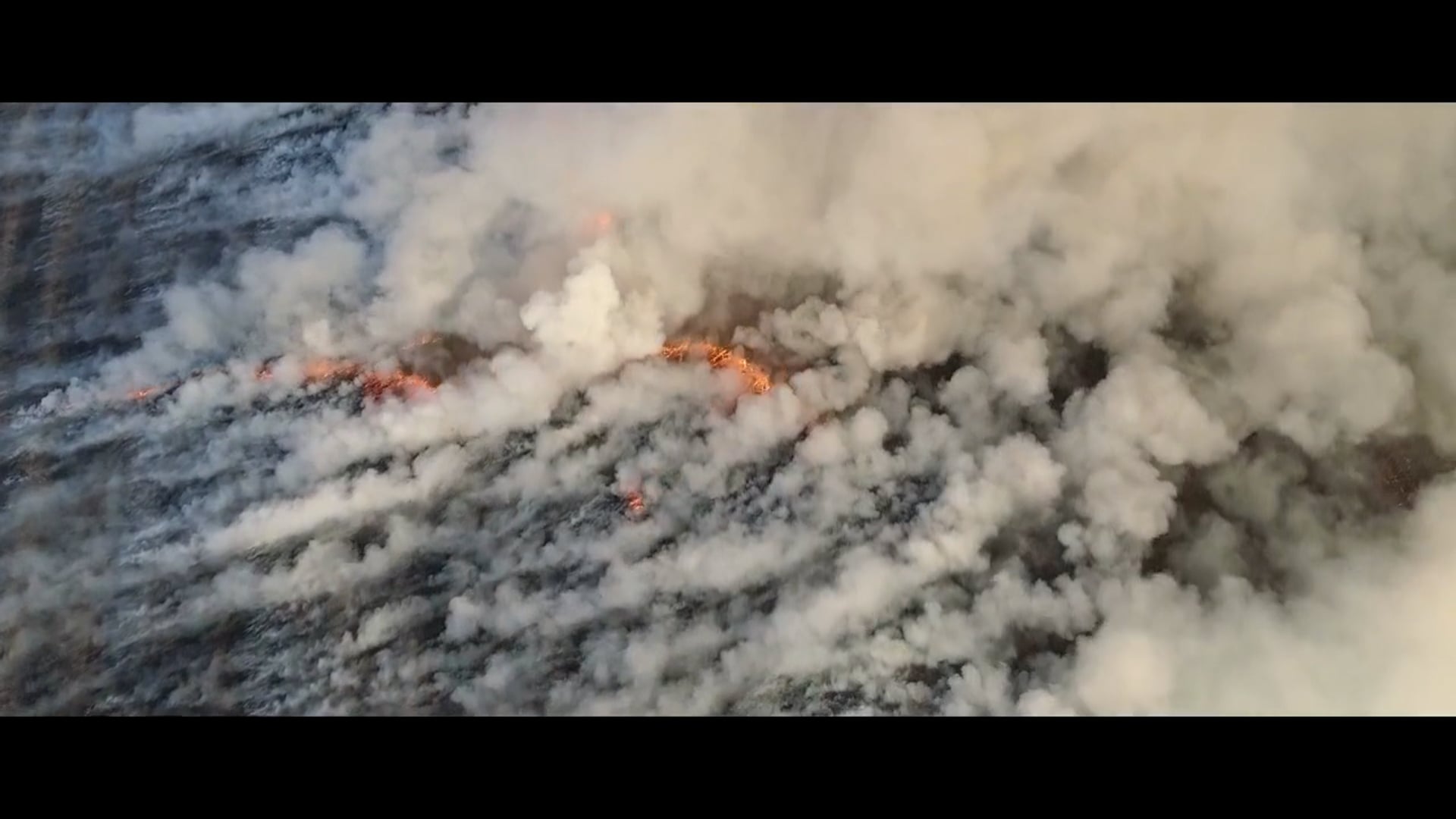 RISING FROM THE FLAMES