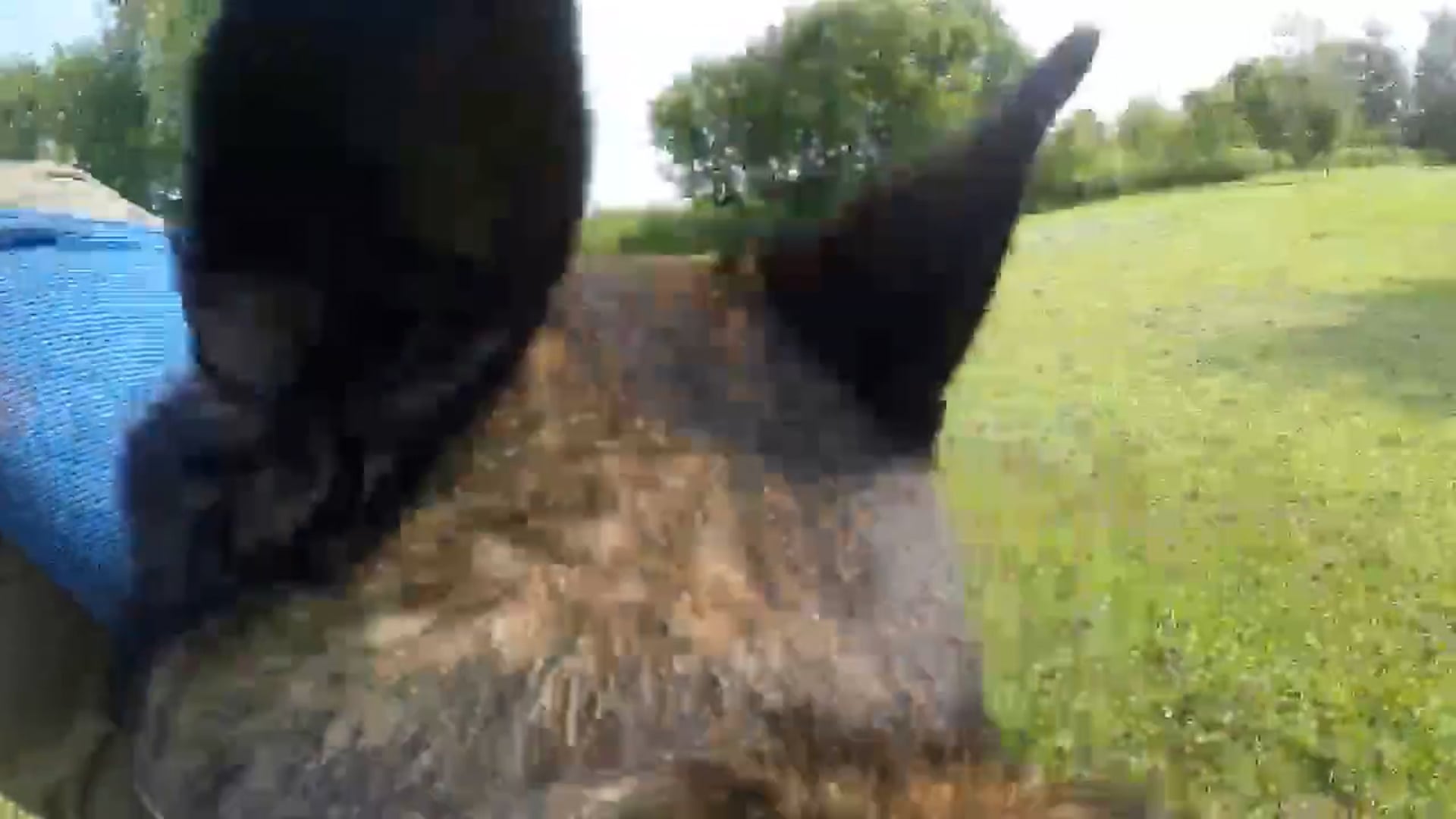 GoPro Footage