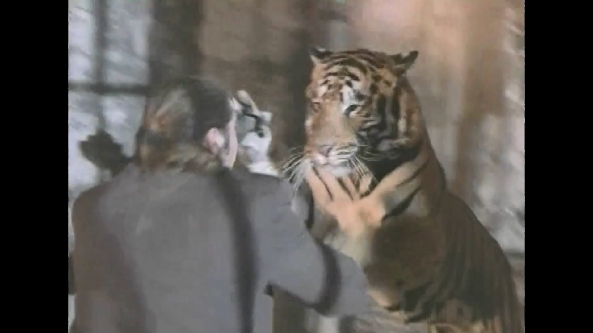 ACTION TIGER SCENE VAN DAMME: DOUBLE TEAM