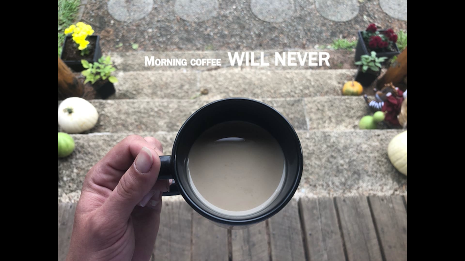 Limited Edition Fall 2021 Mug Advertisement