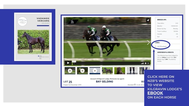 Lot 25