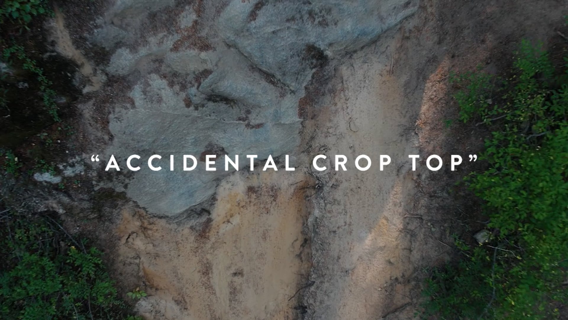 The Ravens Room - Accidental Crop Top