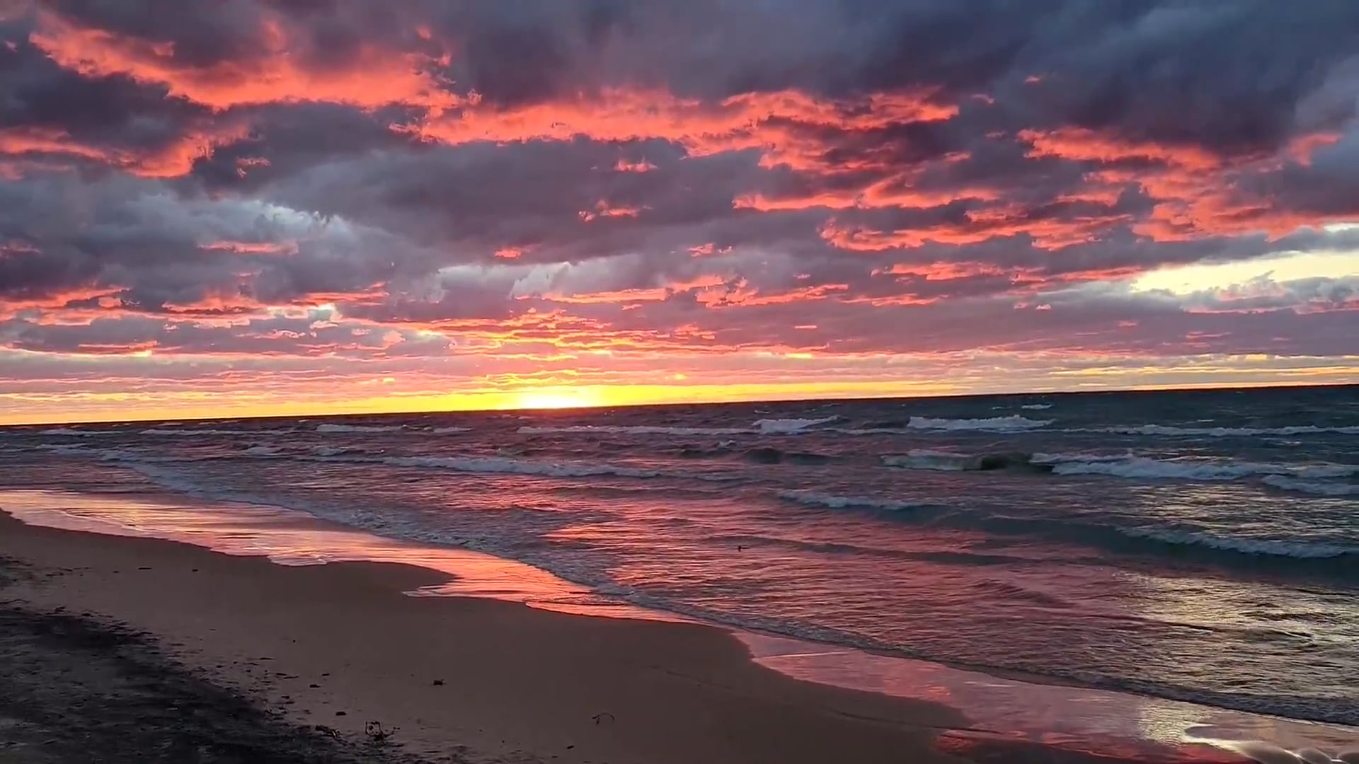 The Woodland Shores Resort - Main photo