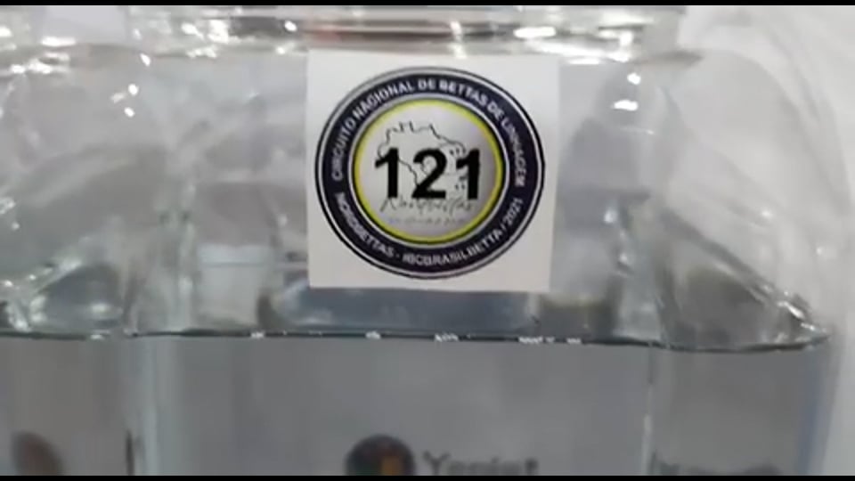Best of Show