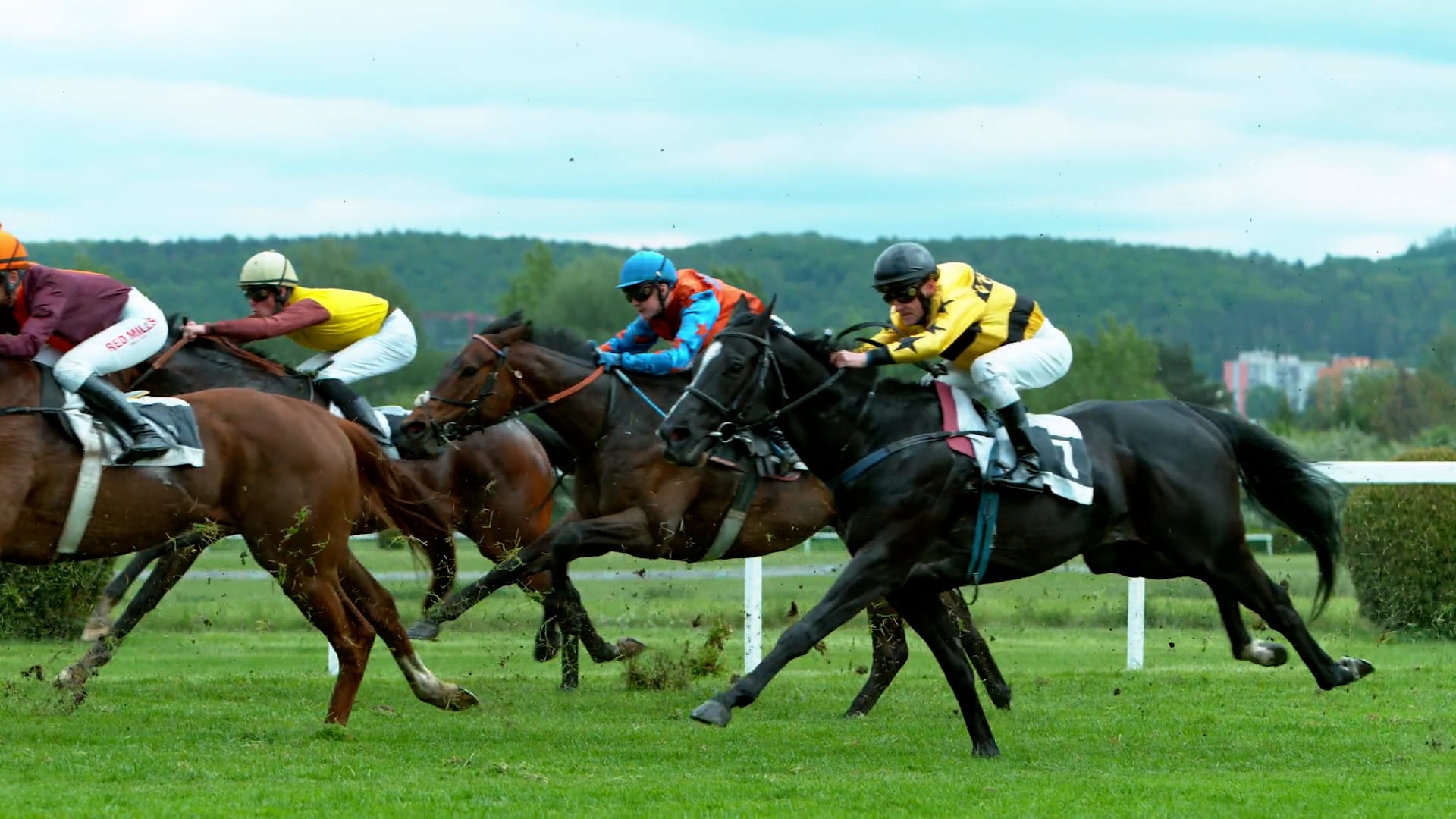 Bose Professional - Ascot Racecourse Case Study