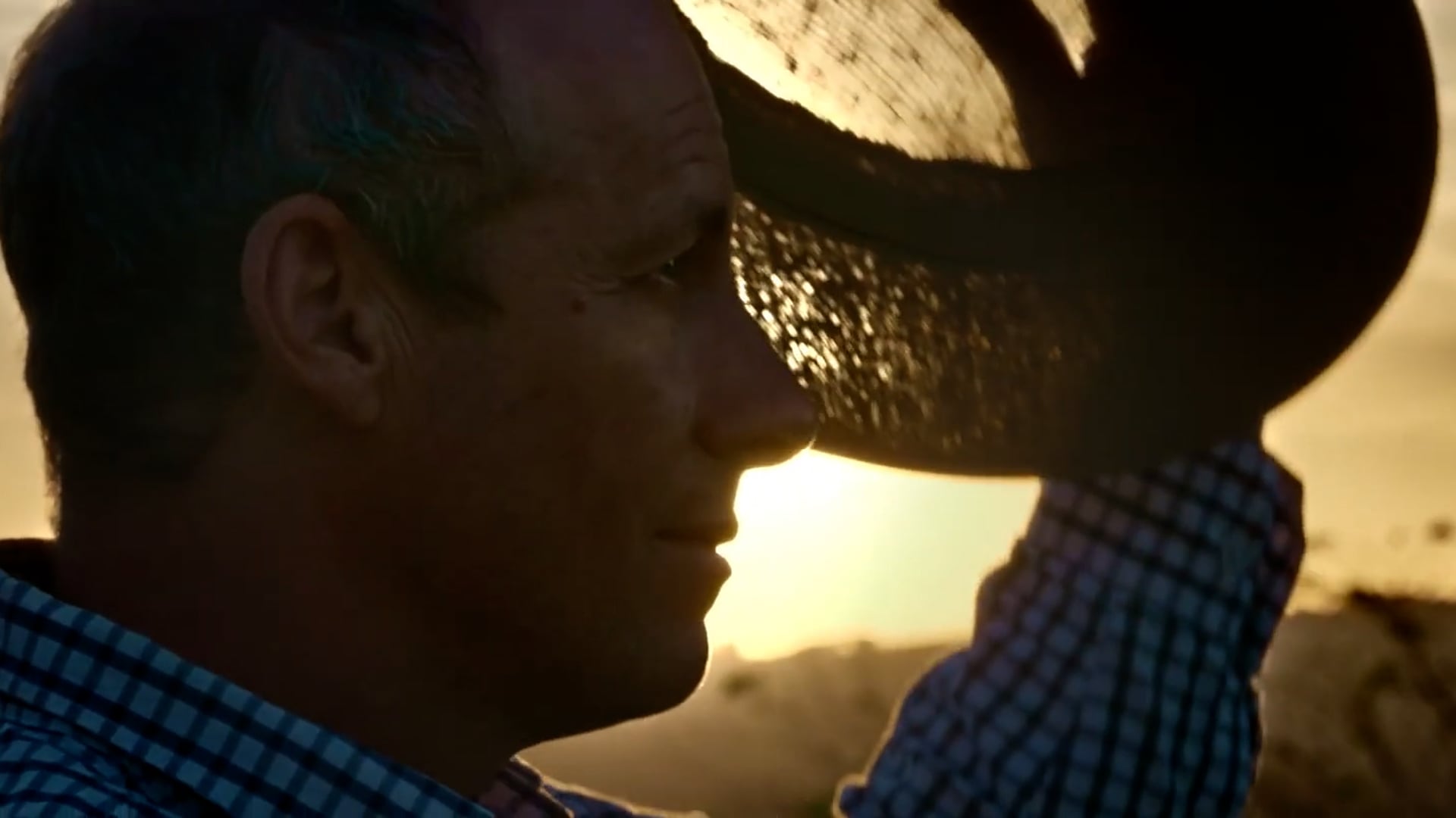 Oração Linha Pastagem Corteva