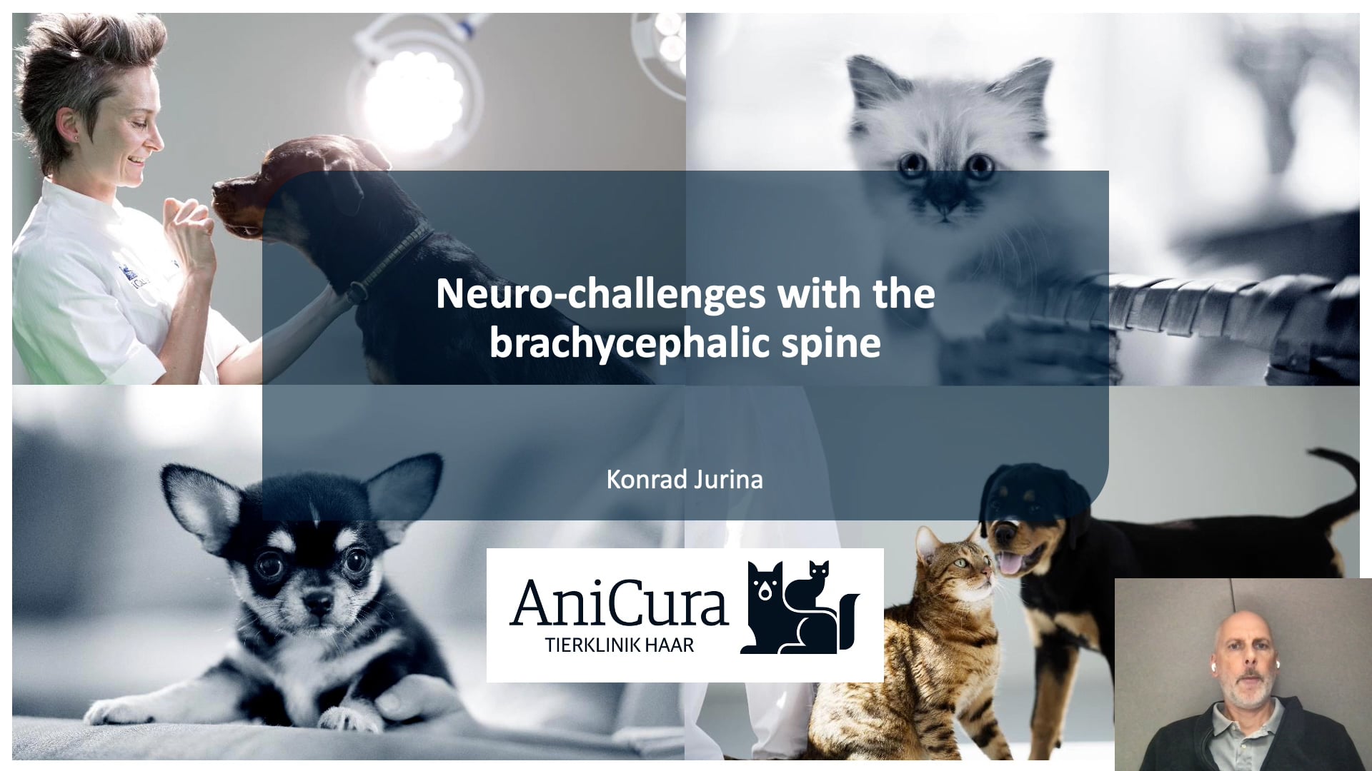 Neurochallenges with the brachyzephalic spine