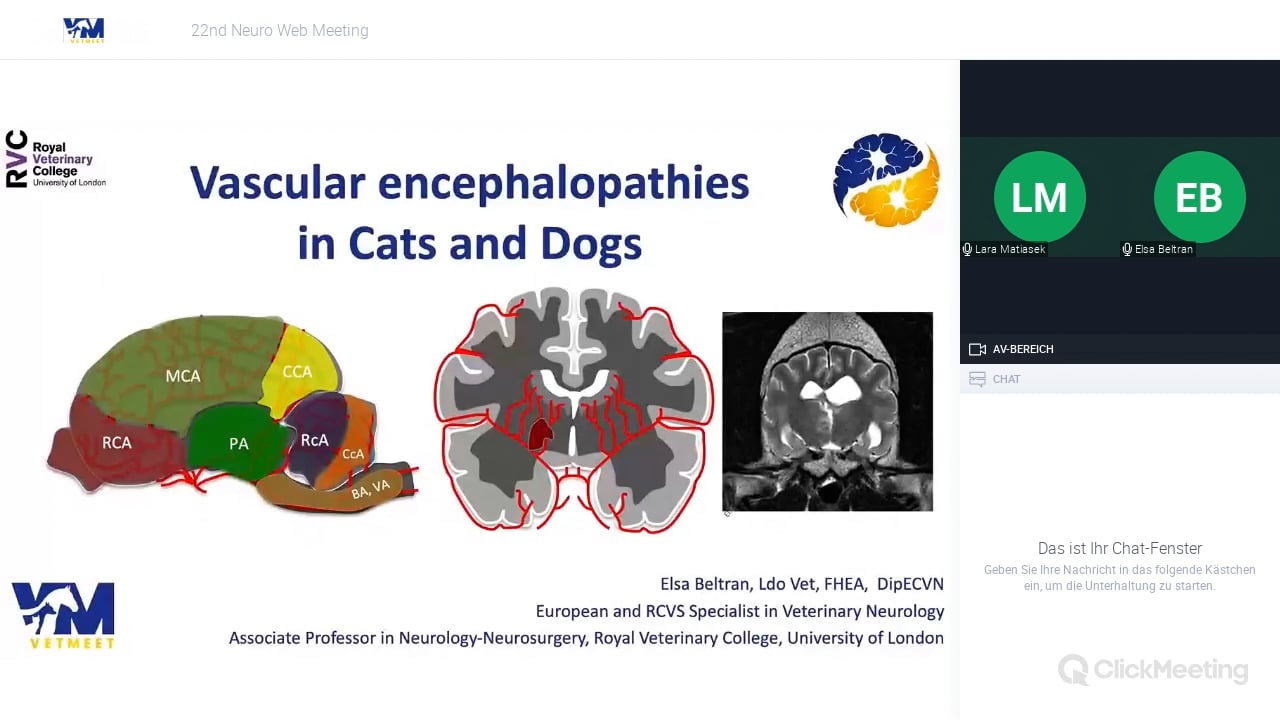 Vascular Encephalopathies