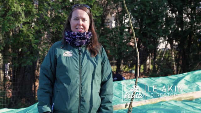 Overwintering Fig Trees – Care & Protection
