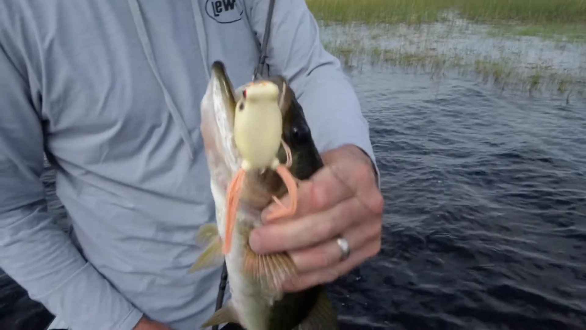 Strike King KVD Baby Sexy Frog Topwater Hollow Body Frog