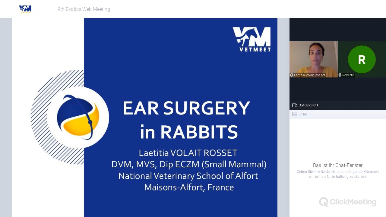 Rabbit Ear Surgery