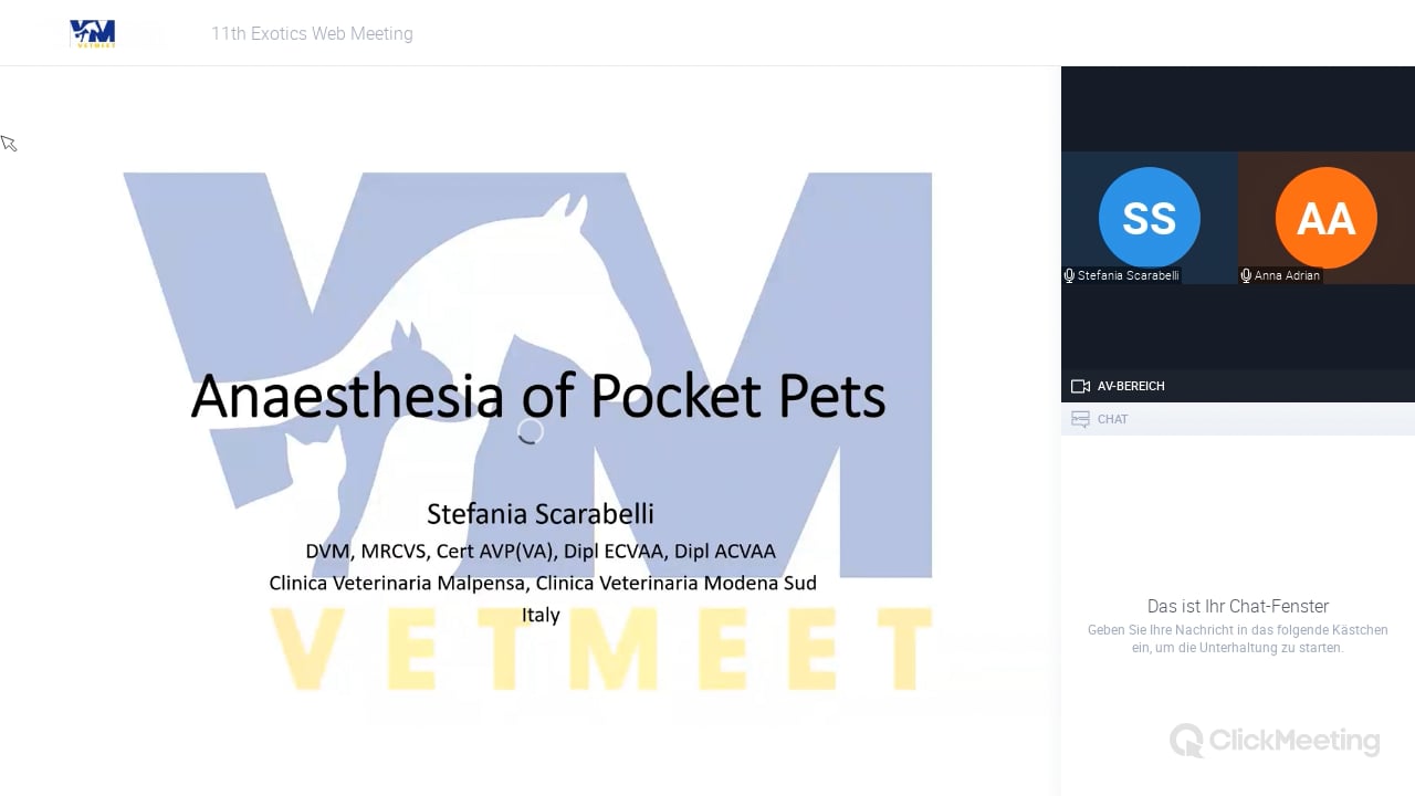 Anaesthesia of pocket pets