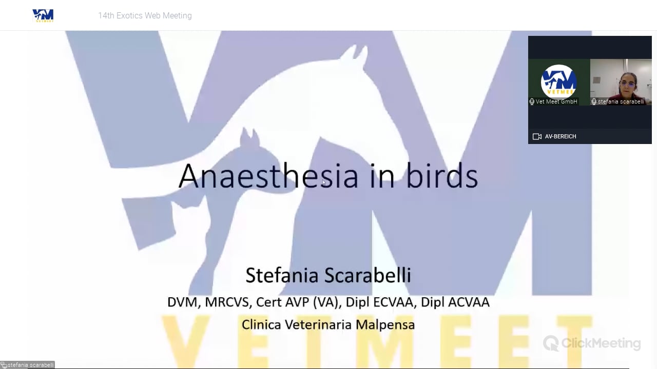 Anesthesia of birds