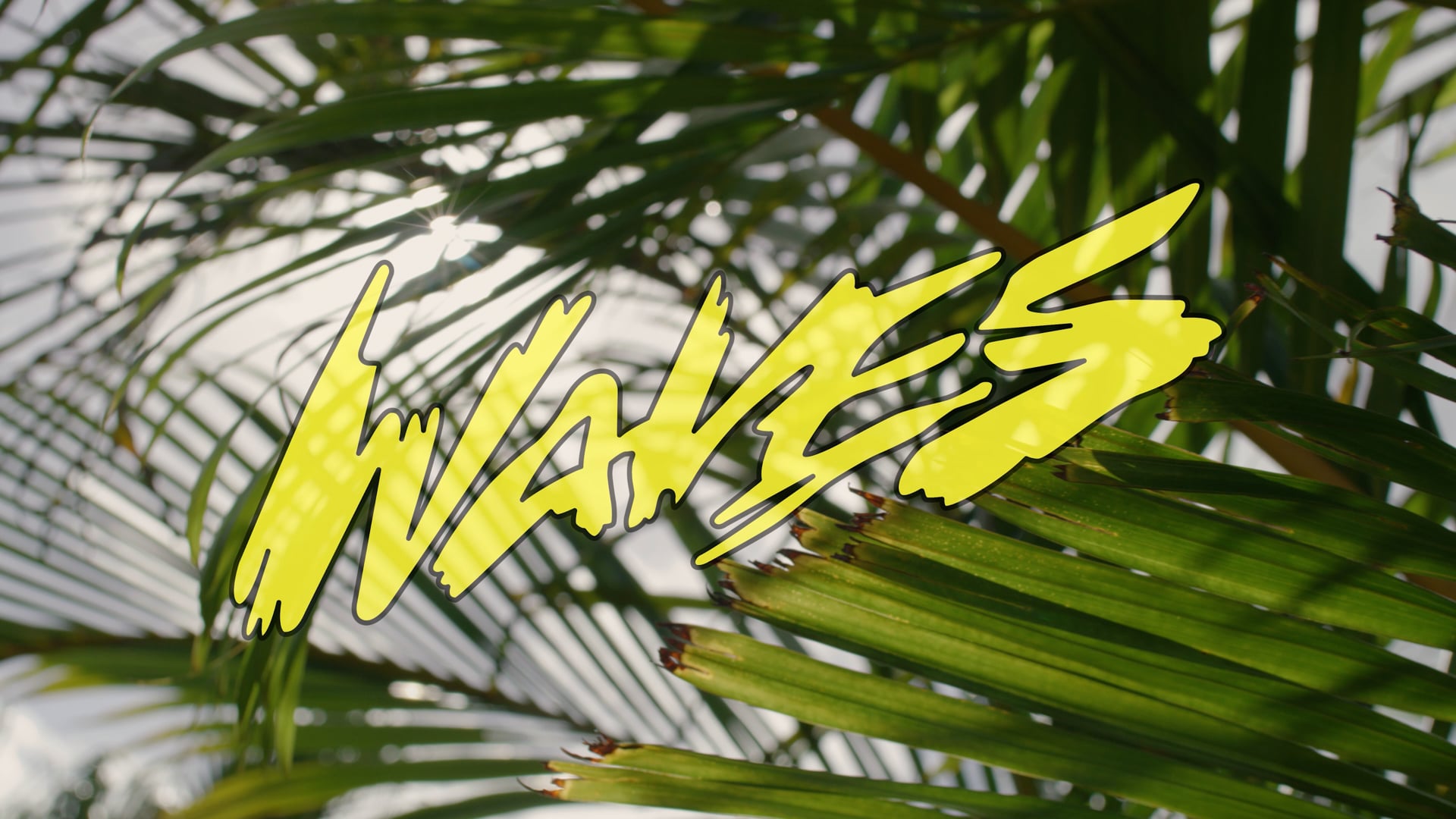 WAVES_Baha_Mar_Highlight_Video_4k