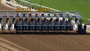 Rock Your World | 2021 Santa Anita Derby-G1