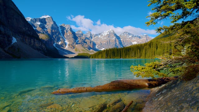 Bird Songs on the Moraine Lake, Canada - Nature Relaxation Video in 4K Ultra HD - Part #1