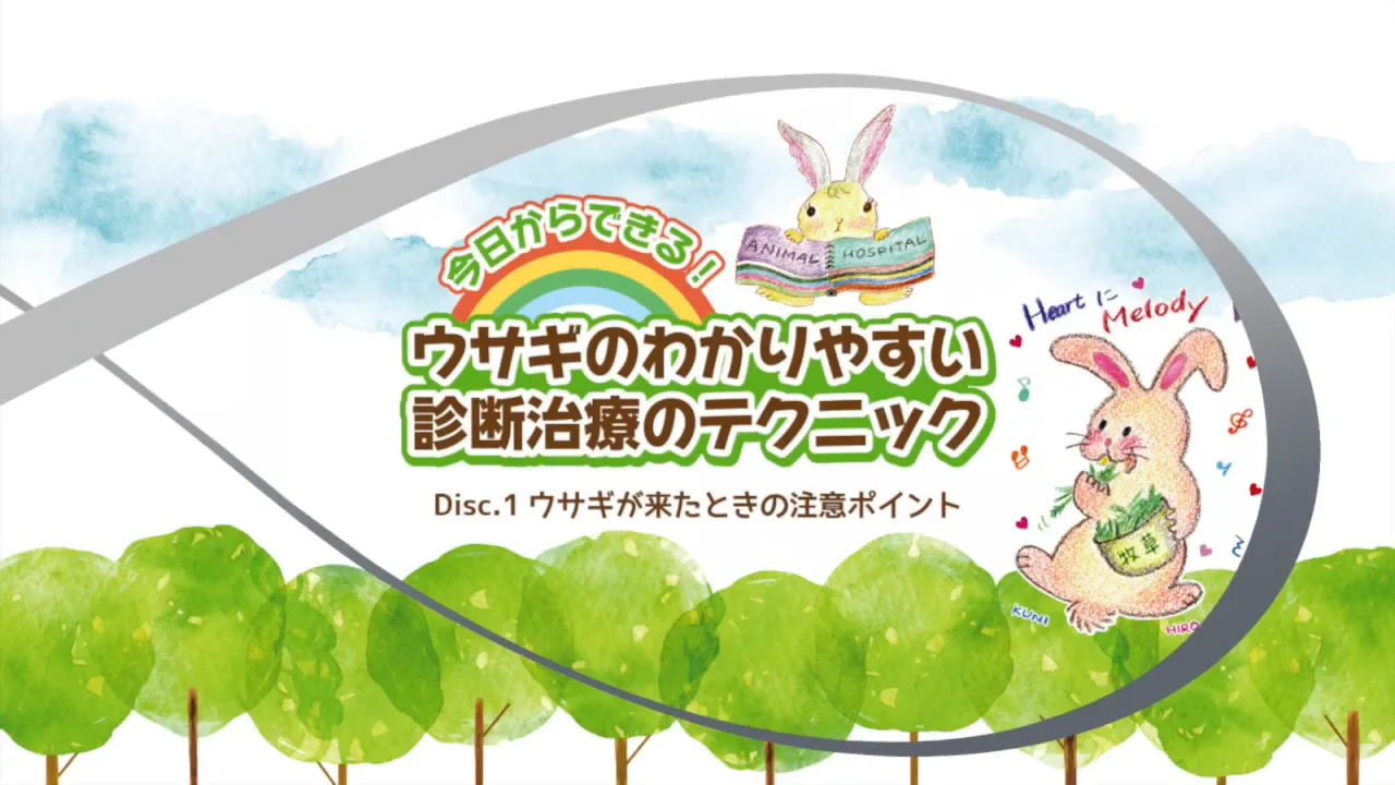 今日からできる！ ウサギのわかりやすい診断治療のテクニック | 株式