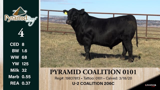 Lot #4 - PYRAMID COALITION 0101
