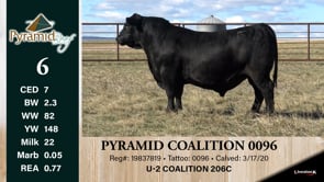 Lot #6 - PYRAMID COALITION 0096