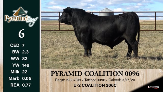 Lot #6 - PYRAMID COALITION 0096