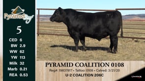 Lot #5 - PYRAMID COALITION 0108 ***OUT OF SALE***