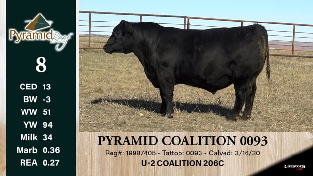 Lot #8 - PYRAMID COALITION 0093