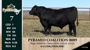 Lot #7 - PYRAMID COALITION 0009 ***OUT OF SALE***