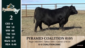 Lot #2 - PYRAMID COALITION 0105