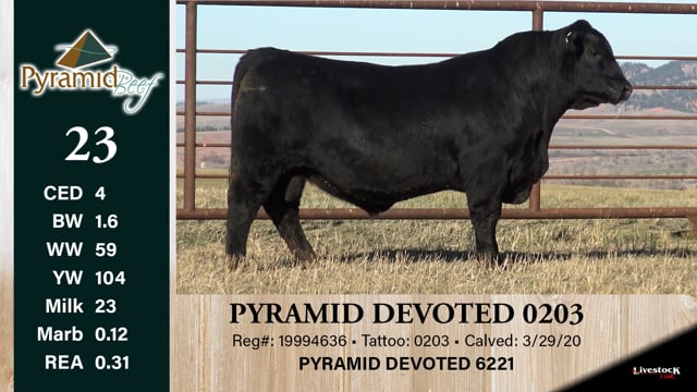 Lot #23 - PYRAMID DEVOTED 0203