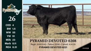 Lot #26 - PYRAMID DEVOTED 0208