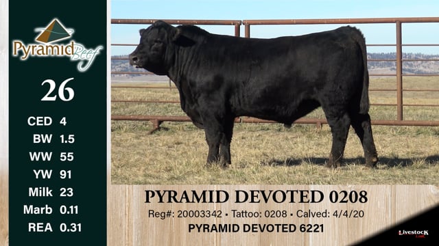 Lot #26 - PYRAMID DEVOTED 0208